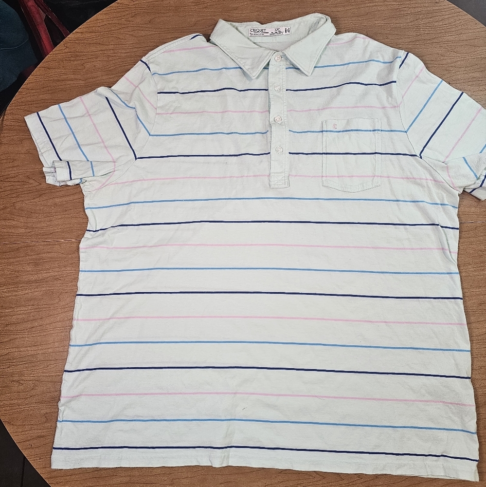 Criquet Polo with Multicolor Stripes